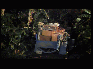 doc0237.gif